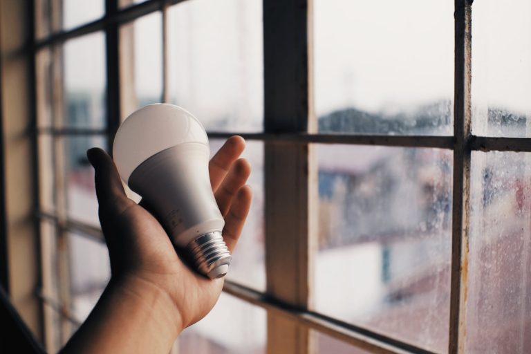 person holding electric light bulb near window