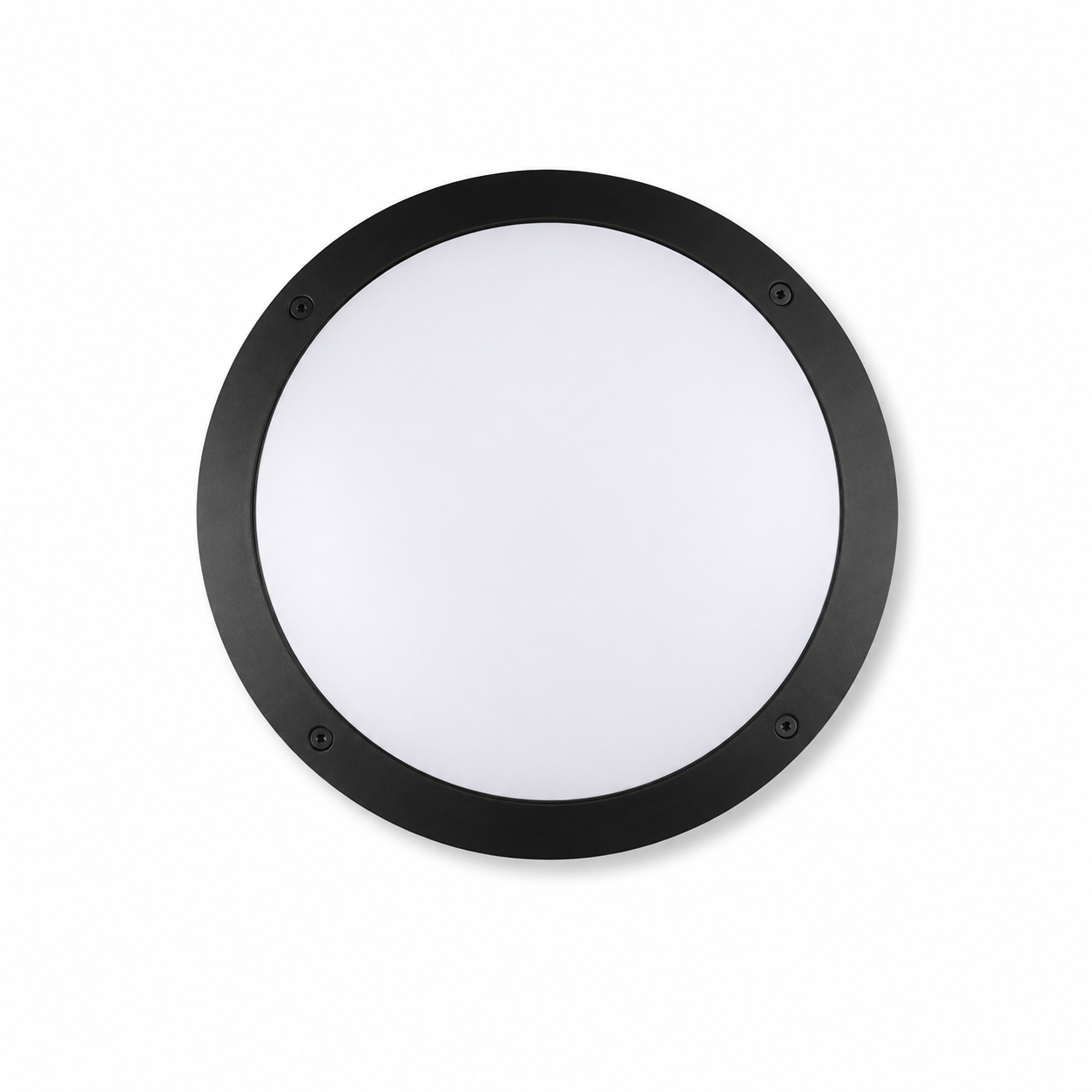 Pavo Diecast Body LED Bulkhead by Performance Lighting - 400030 (2)